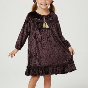 Velveteen Girls Crushed Velvet Dress Size 4 Ruffles Tassels Purple Gold